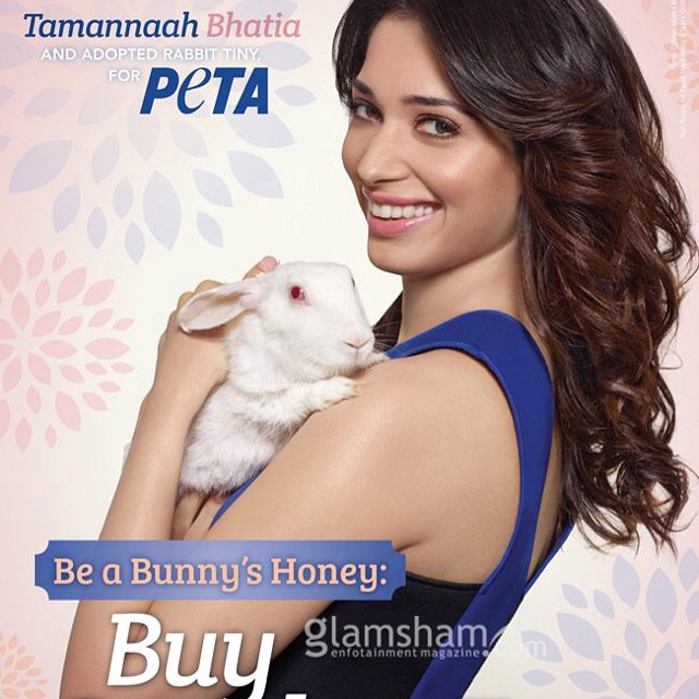 Read more about the article Tamannah Bhatia for Peta