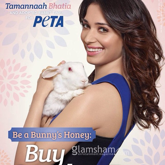 You are currently viewing Tamannah Bhatia for Peta