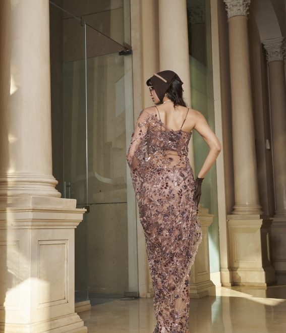 Brown Net Net Saree And Blouse