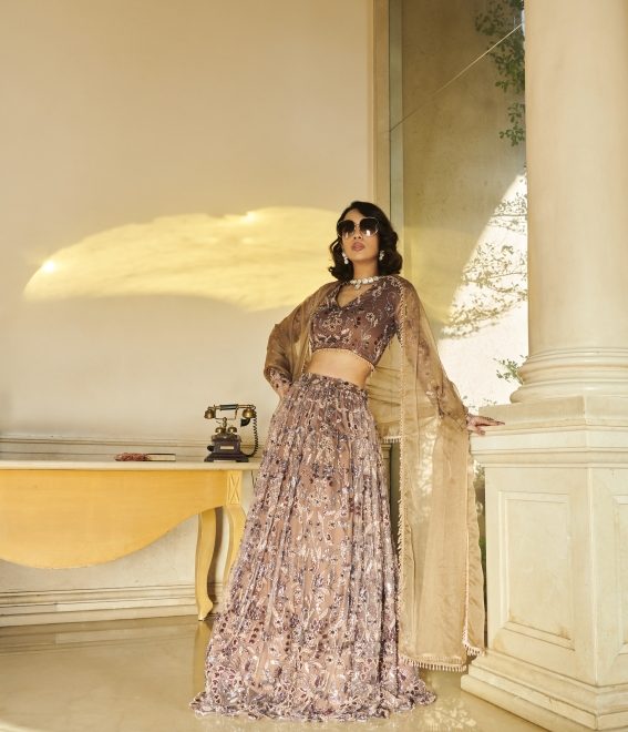 Brown Net Blouse ,Brown Net Lehenga , Organza Dupatta