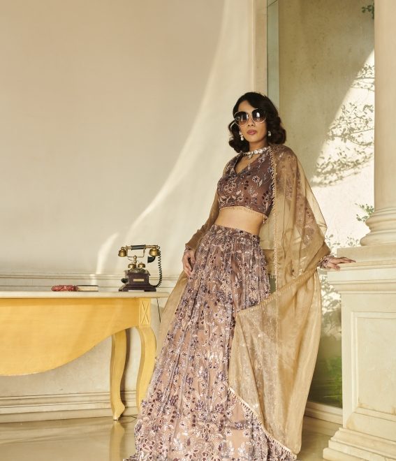 Brown Net Blouse ,Brown Net Lehenga , Organza Dupatta